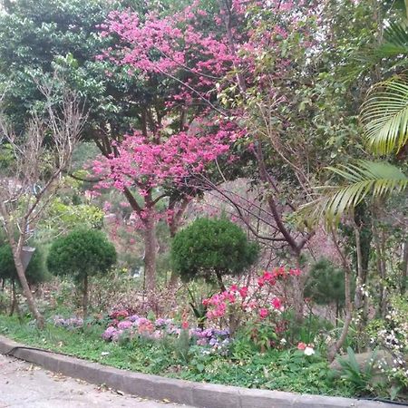 Ruyi Yuan Homestay Tongxiao Экстерьер фото